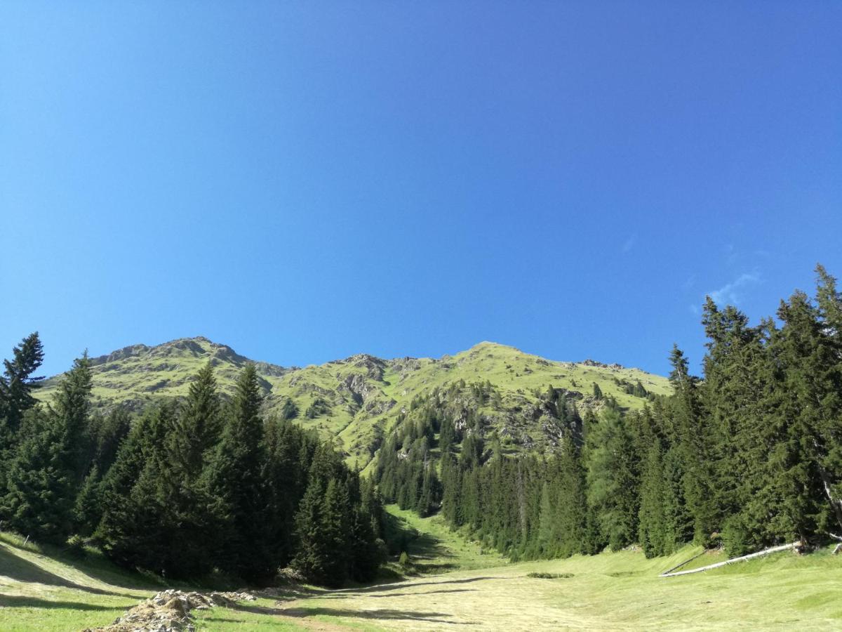 Апартаменты Bichlerhof Хопфгартен-ин-Деферегген Экстерьер фото