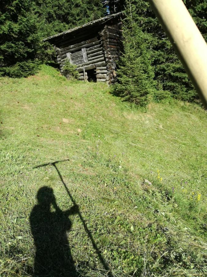 Апартаменты Bichlerhof Хопфгартен-ин-Деферегген Экстерьер фото